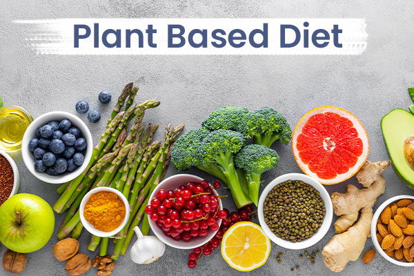 What is Plant-Based Diet?